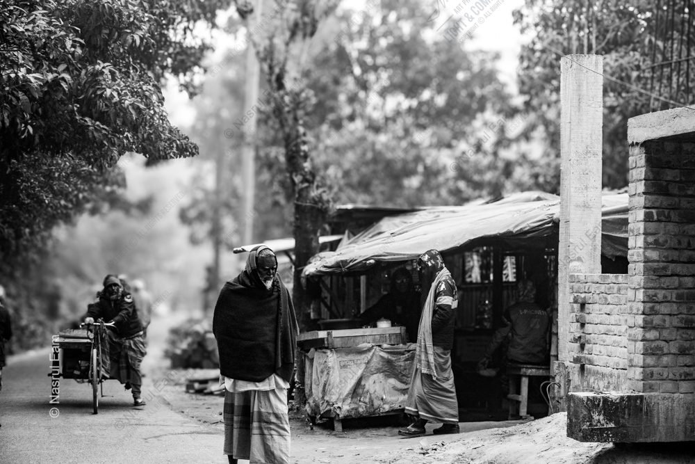 Ephemeral Moments on the Roadside