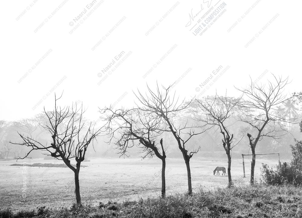 Bare Branches and Distant Passage