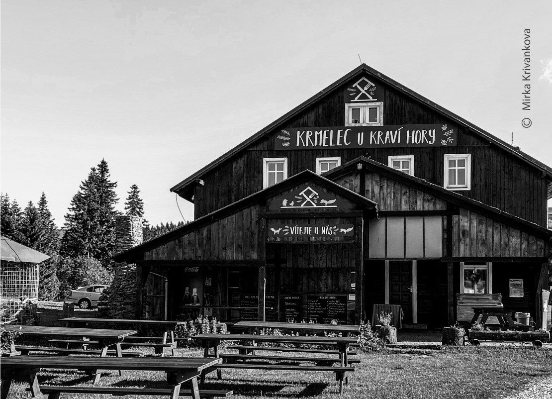 Hut Kravi Hora by Mirka Krivankova A Beggar by Mirka Krivankova - Photojournalism, Art Photography, Documentary Photography, Mirka Krivankova, Photography Awards