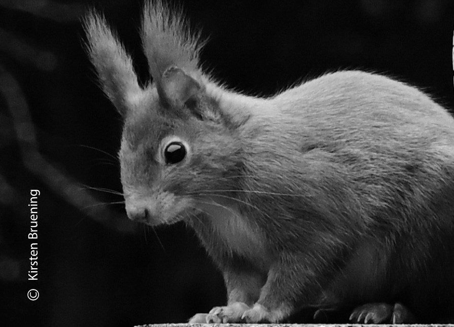 A Little Friend by Kirsten Bruening Blue Colors by Kirsten Bruening - Nature Photography, Photography Awards, Photo of the Day, Art Photography, Online Photography Courses