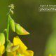 A Flower in Arecibo’s Spring by Jose Juniel Rivera-Negron Walking on the Bridge by Jose Juniel Rivera-Negron - Street Photography, Photo of the Day, Photography Awards, Art Photography, Photojournalism
