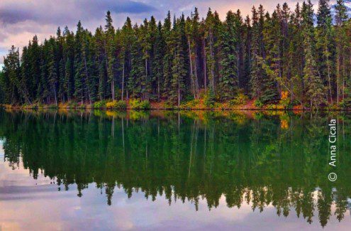 Green Thumb by Anna Cicala - Nature Photography, Photography Awards, Photo of the Day, Banff Photography, Anna Cicala