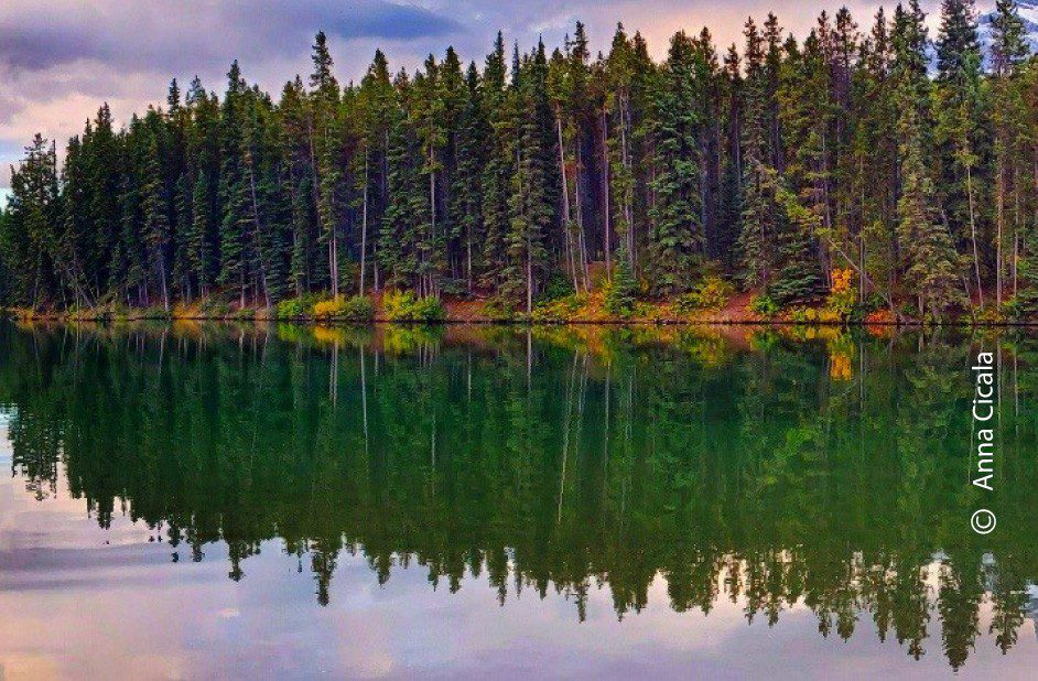 Green Thumb by Anna Cicala Green Thumb by Anna Cicala - Nature Photography, Photography Awards, Photo of the Day, Banff Photography, Anna Cicala