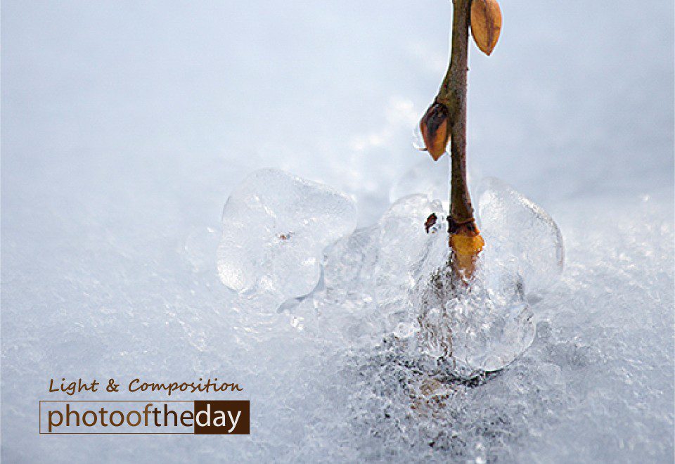 Wintertime by Silvia Bukovac Gasevic Wintertime by Silvia Bukovac Gasevic - Nature Photography, Winter Photography, Photo of the Day, Photography Awards, Art Photography