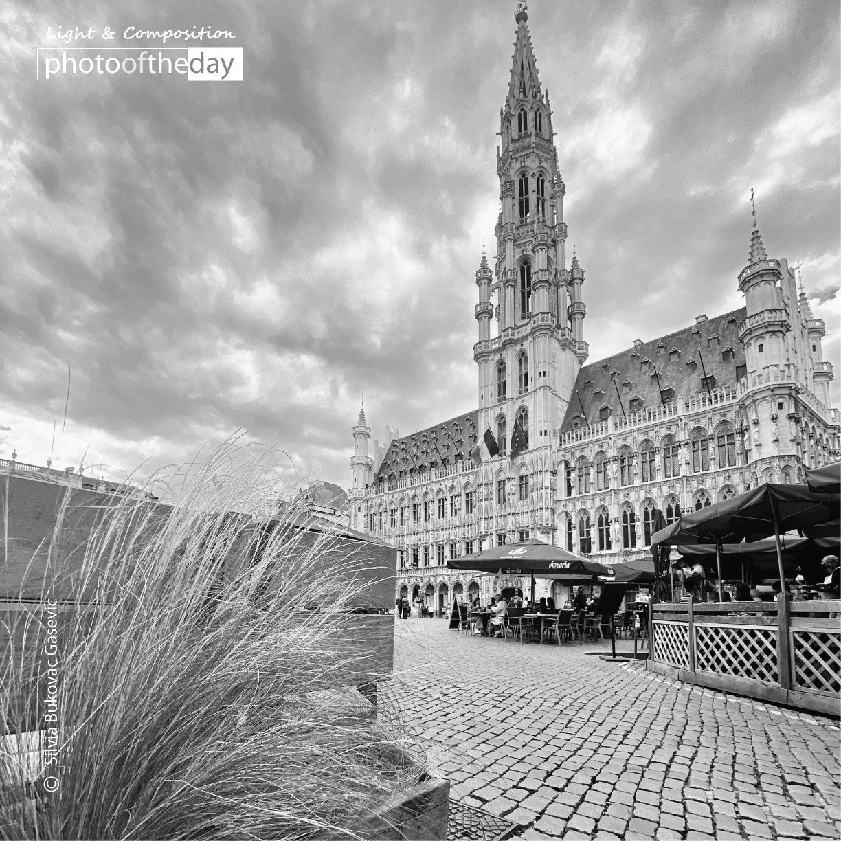 The City by Silvia Bukovac Gasevic the city by silvia bukovac gasevic