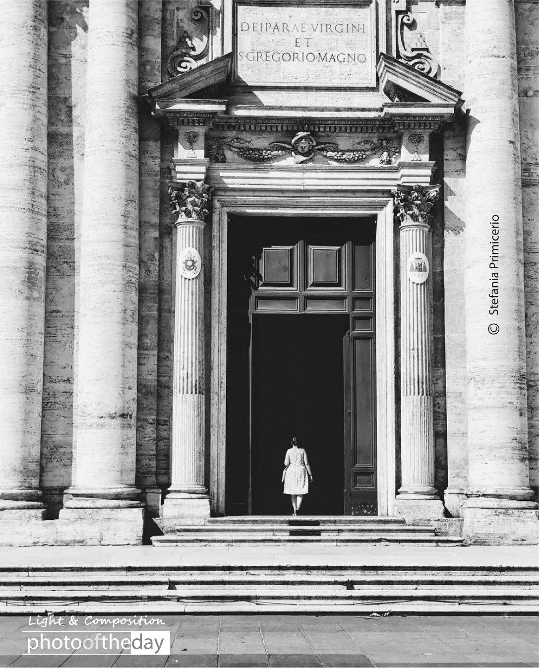 the solitude by stefania primicerio