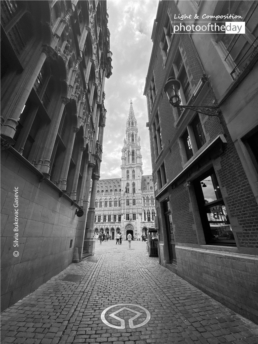 There Is Always Something Interesting by Silvia Bukovac Gasevic there is always something interesting by silvia bukovac gasevic