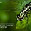 The Essence of Close-up Photography - Close-up Photography, Nature Photography, Macro Photography, Photography Techniques, Photography Book