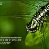 The Essence of Close-up Photography - Close-up Photography, Nature Photography, Macro Photography, Photography Techniques, Photography Book