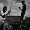 Aquatic Life by Mostafa Monwar - Photojournalism, Photography, Black and White Photography, Aquatic Life, Bangladesh