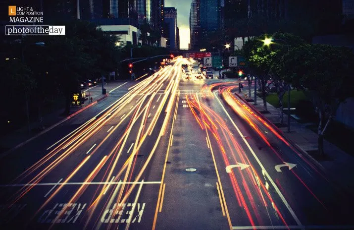 Photo of the Month | 2025 | January