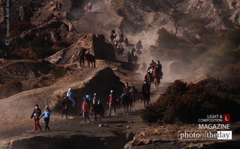 Bromo Hillside by Ismawan Ismail - Travel Photography, Award Winning Photography, Landscape Photography, Photo of the Day, Ismawan Ismail