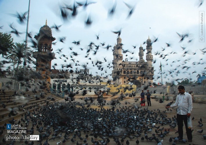 Calm Amidst the Flurry by Lakshmi Prabhala Photo of the day 18072010