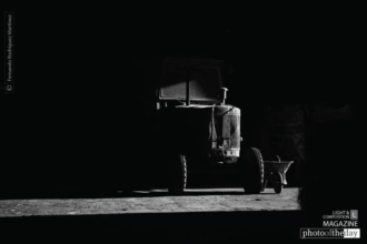 Hard Worker by Fernando Rodríguez