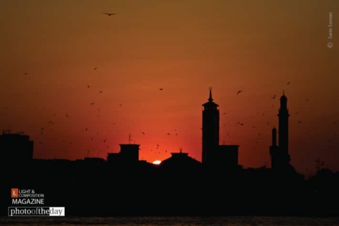 Before Say Good Bye by Sarin Soman - Sunset Photography, Photography Awards, Photo of the Day, Award Winning Photography,  Light & Composition University