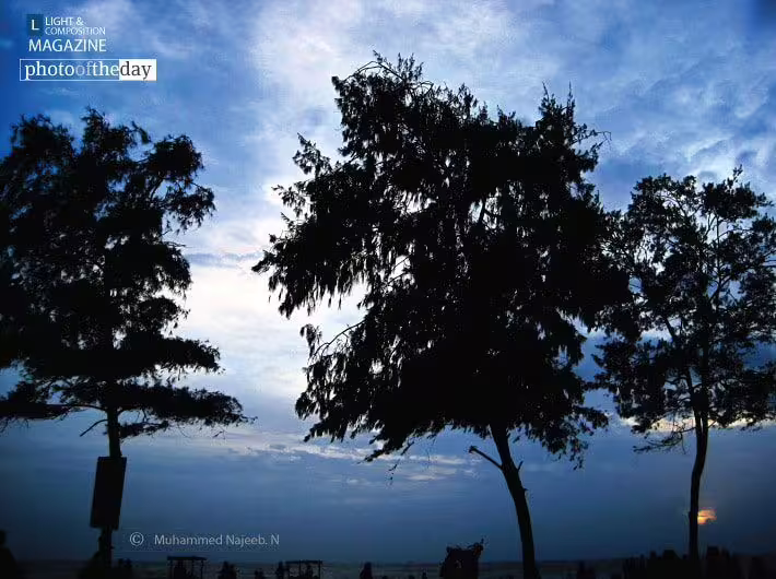 Blue Breeze by Muhammed Najeeb