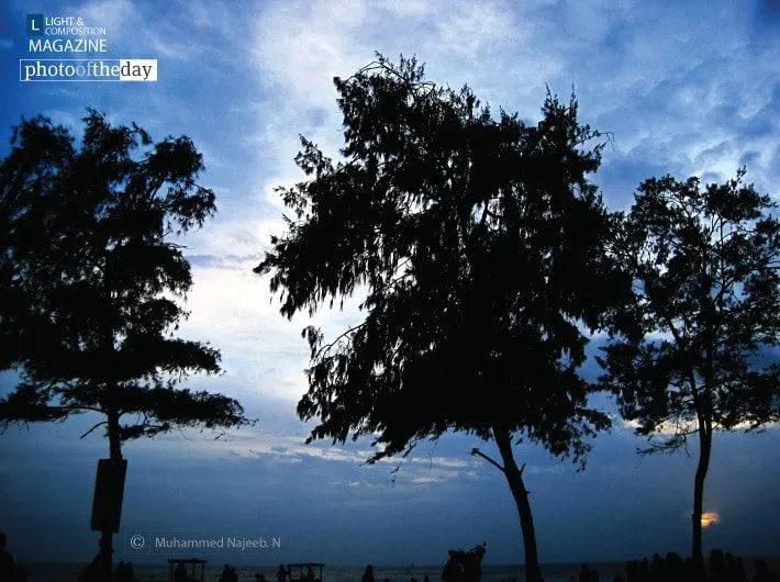 Blue Breeze by Muhammed Najeeb
