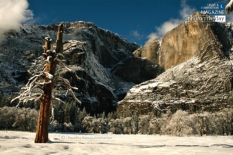 Yosemite Falls by Pavithra Ramasubramanian