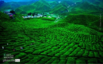 Garden of Bliss by Vijaya Sri Sanjevi