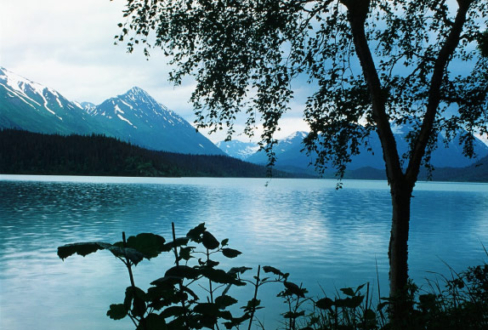 At the Water's Edge, by Ronnie Glover - Nature Photography, Photojournalism, Photography Education, Art Photography, Online Photography Courses