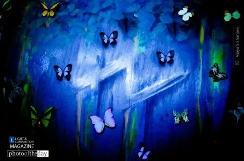 Waxed butterfly by Vijaya Sri Sanjevi