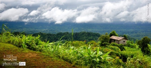 The Neverland, by Tanmoy Saha - Nature Photography, Photography Awards, Photo of the Day, Award Winning Photography, Online Photography Courses