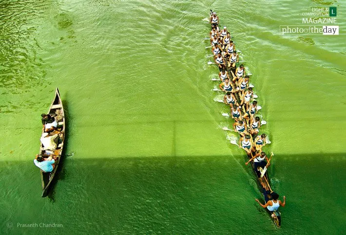 The Spectator and the Competitor by Prasanth Chandran