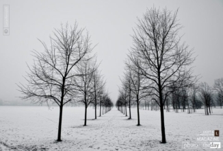 Rows by Luca Renoldi