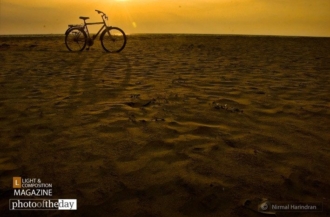 And the Journey Continues by Nirmal Harindran