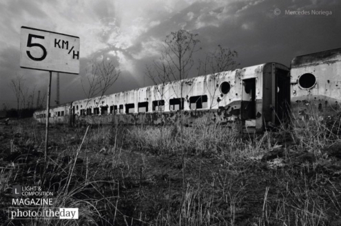 At 5 Km/H by Mercedes Noriega - Photojournalism, Black and White Photography, Award Winning Photography, Photography Awards, Mercedes Noriega