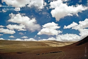 Yak Caravan Crosses the North Sikkim Plateau, by Sujoy Das