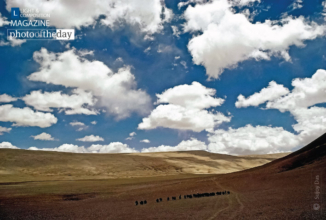 Yak Caravan Crosses the North Sikkim Plateau by Sujoy Das