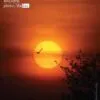 Touching the Sun by Vaibhav Choudhary