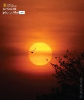 Touching the Sun by Vaibhav Choudhary