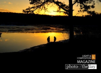 Pure Gold, by Sunando Roy