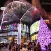 The Christmas Project by Mai Phuong Duong