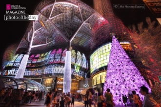 The Christmas Project by Mai Phuong Duong