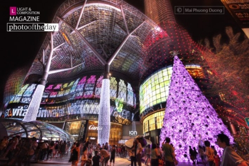 The Christmas Project, by Mai Phuong Duong - Night Photography, Award Winning Photography, Photo of the Day, Photography Awards, Photojournalism