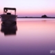 Photo of the day 26012011
