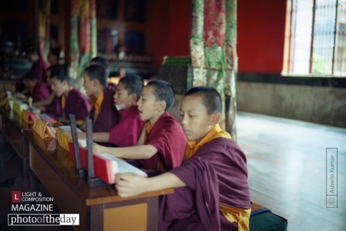 Monks in Training, by Ashwin Kumar - Documentary Photography, Photojournalism, Film Photography, Leica M6, Ashwin Kumar