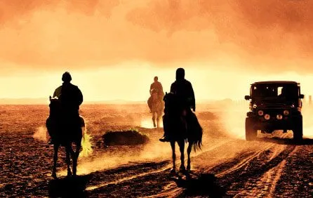 Photo of the Month — January 2011