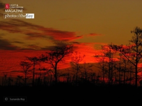 Sky on Fire by Sunando Roy