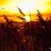 Sunset at Winter, by Nuno Alexandre - Photojournalism, Sunset Photography, Winter Photography, Award Winning Photography, Nuno Alexandre