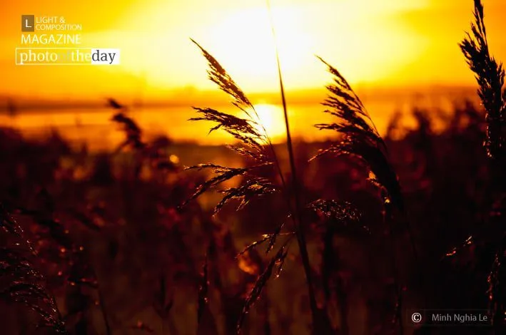 Sunset at Winter by Nuno Alexandre