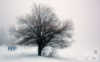 A Walk in Winter by Didier Sibourg
