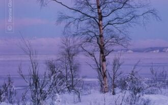 Nature Photography, Photography Awards, Photo of the Day, Landscape Photography, Fine Art Photography – Lone Tree at Winter Sunset, by Ronnie Glover Lone Tree at Winter Sunset, by Ronnie Glover - Nature Photography, Photography Awards, Photo of the Day, Landscape Photography, Fine Art Photography