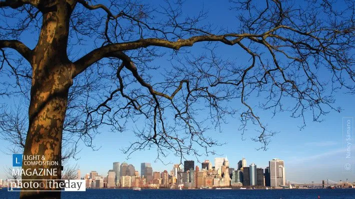 Tickling Manhattan by Nancy Sámano