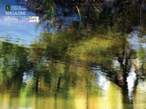 Monet on Water by Nancy Sámano