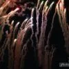 Blast Off, by Ronnie Glover - Motion Photography, Award Winning Photography, Photography Education, Photojournalism, Art Photography