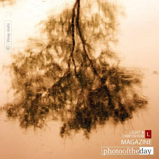 Sorrow… by Vinay Joshi